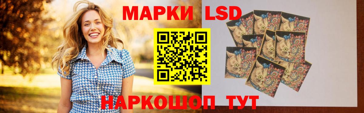 Лсд 25 экстази кислота  Лсд 25 экстази  Каменск-Шахтинский  гидра вход  Вход с VPN  ЛСД экстази ecstasy 